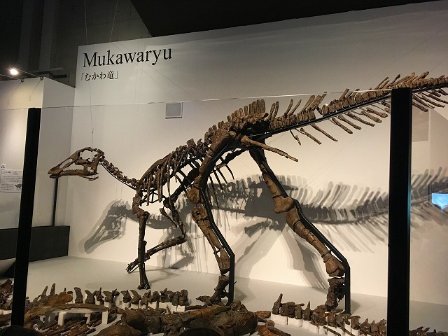 国立科学博物館【恐竜博2019】年パスはお得？
